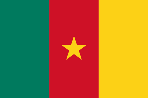 Drapeau : Cameroun